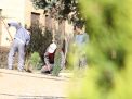 گزارش تصویری از آئیین درختکاری و تقدیر ازهمکاران فضای سبز دانشگاه